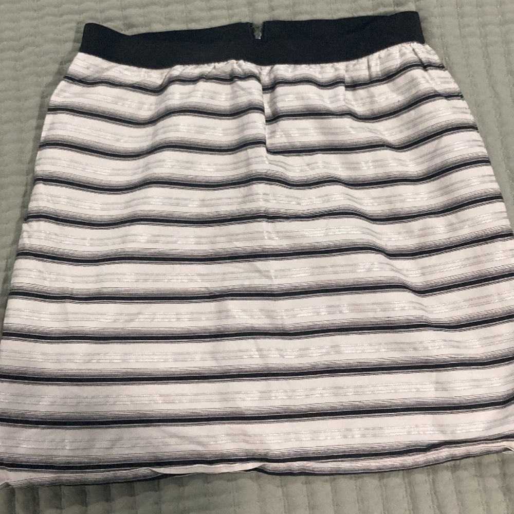 Ann Taylor Skirt